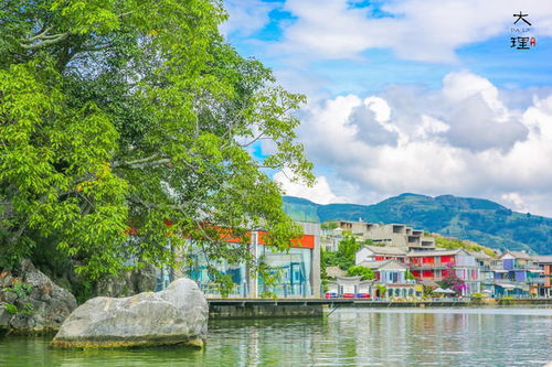 两个人去大理玩三天要多少钱？超全旅游攻略+行程+交通+景点门票预算
