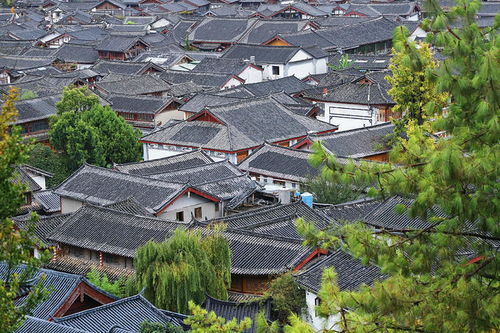 云南七天旅游线路推荐 丽江大理纯玩自由行小技巧与攻略